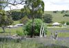 Blayney, Orange