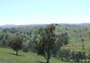 * Canowindra, Orange