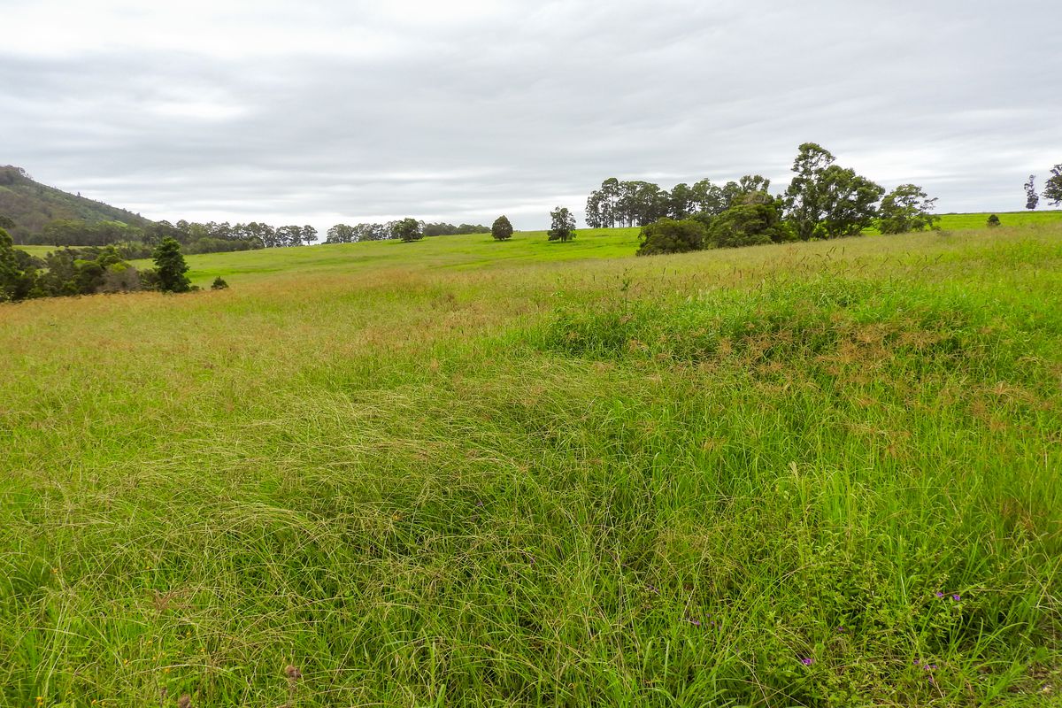 236a Khatabundah Road, Wingham