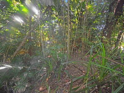 71 GREENDALE COURT, Jubilee Heights
