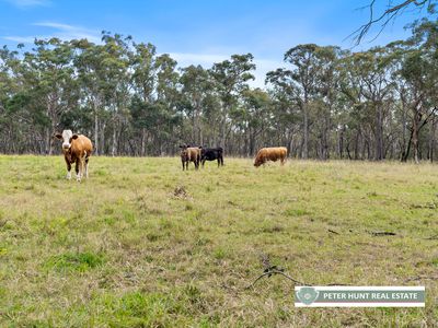 30 Minerva Road, Wedderburn