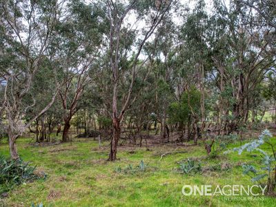 145 Haydon Street, Murrurundi