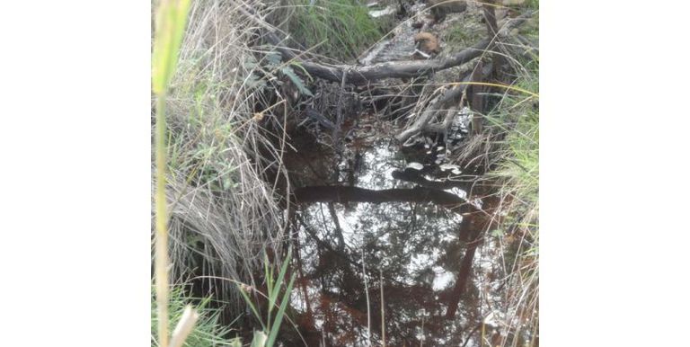 Bonnie Doon Road, Strathbogie