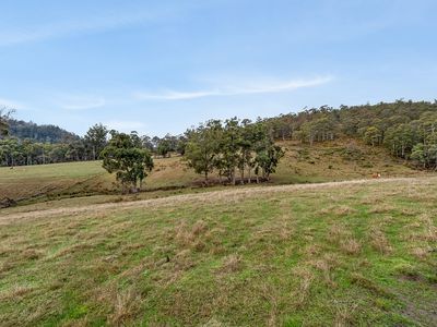 57 Cowens Road, Gardners Bay