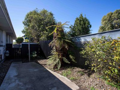 3 / 533 Hereford Street, Christchurch Central