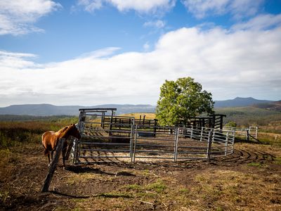 43 Berlin Road, Mount Berryman