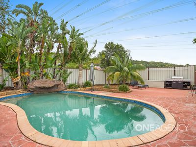 38 Daintree Drive, Albion Park