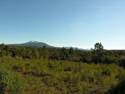 7736 Huon Highway, Strathblane