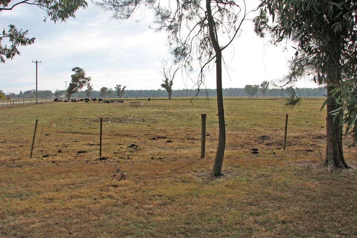 1842 Scobie Road, Tongala