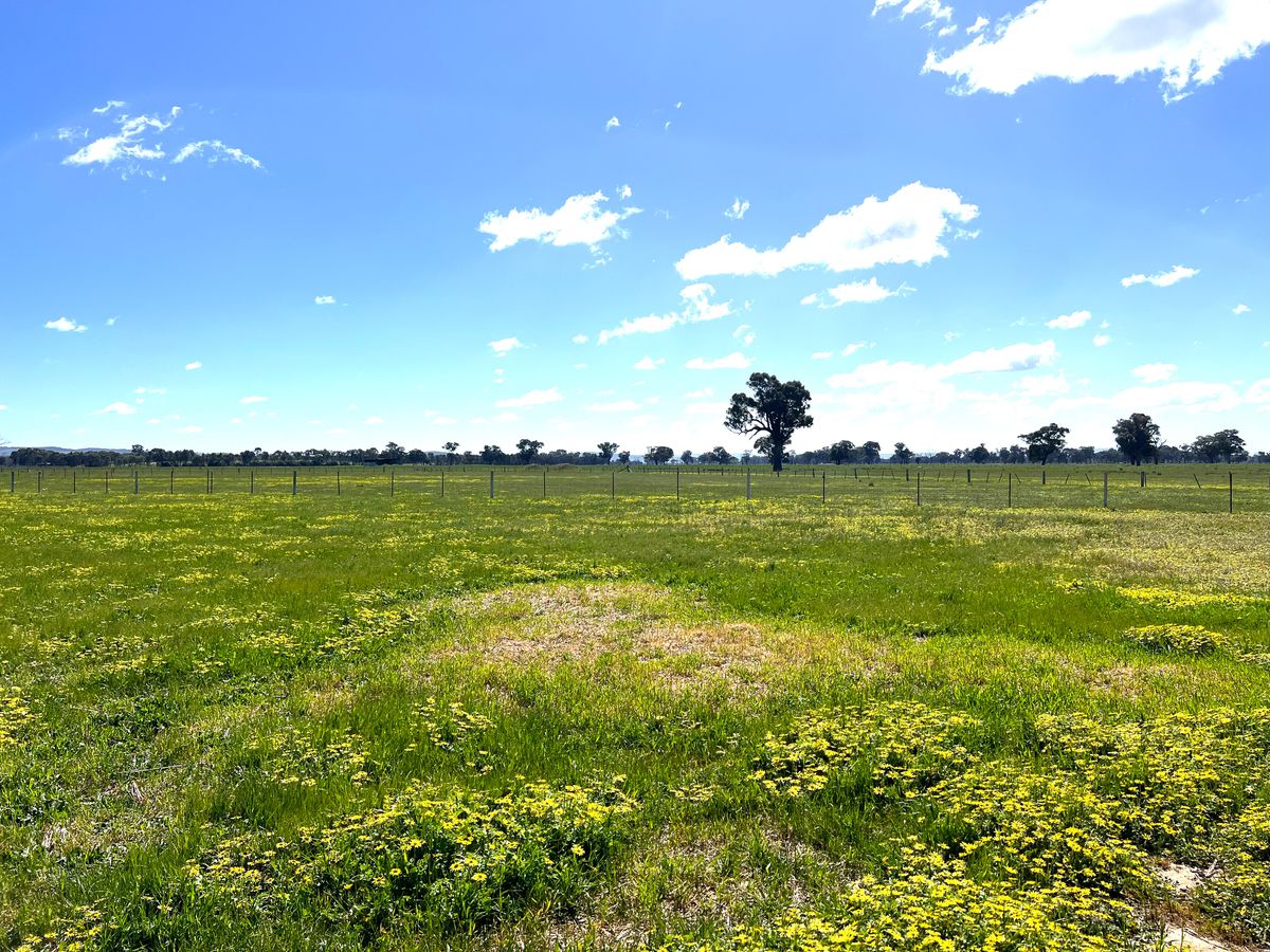 Lot 1, Dennis Road, Benalla