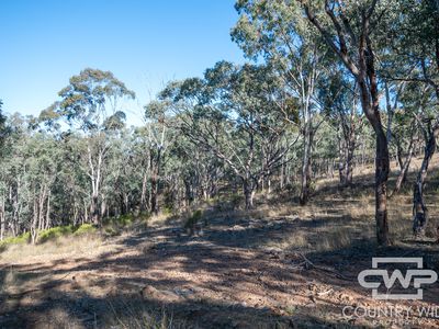 3889 Nullamanna Road, Wellingrove