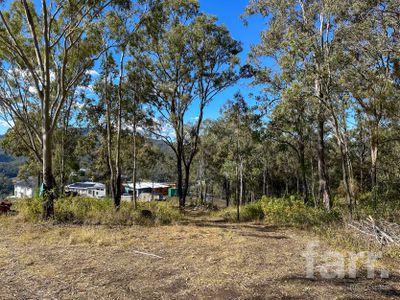 Canungra