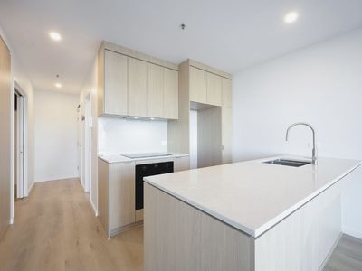 316 / 1 Holborow Avenue, Denman Prospect
