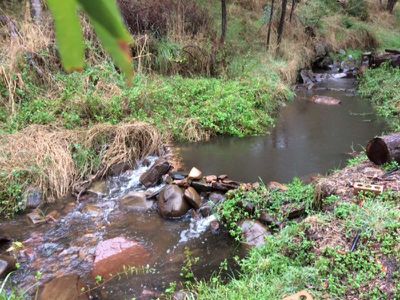 Lot 8, Wild Dog Road, Merrijig