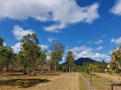 Lot 7 Mount Amos Road, Cooktown
