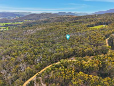 Lot 1, Kellys Road, Cradoc