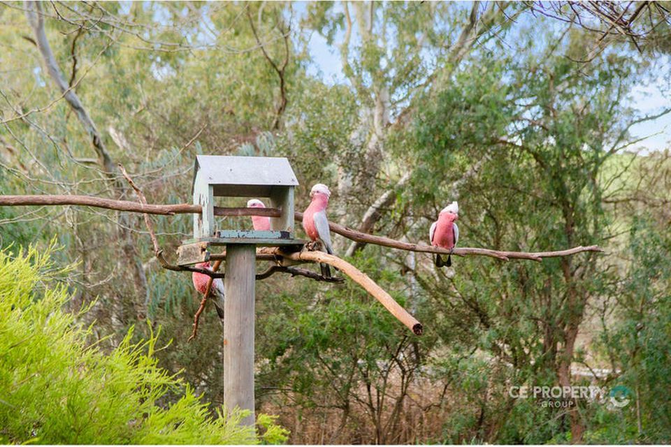 11 Cromer Road, Birdwood