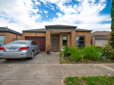 16 Evergreen Crescent, Craigieburn