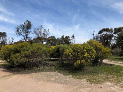 814 Brenanah-Wehla Road, Brenanah