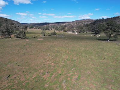 1950 FLAGGS ROAD, Gungal
