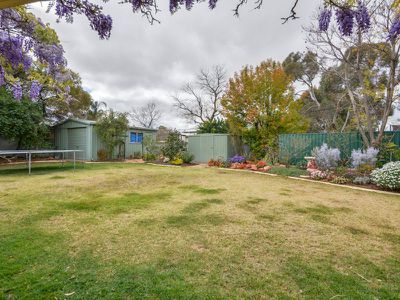 51 Killarney Street, Lamington