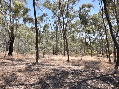 189 St Killian Street, White Hills