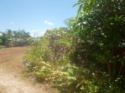 59 Hope Street, Cooktown