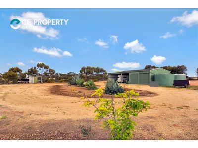 39 Ridley Road, Mannum