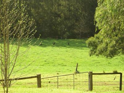 214 Allans Road, Barrengarry