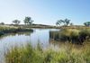 605 Pangee Road, Nyngan