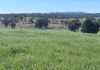 117 HILLSIDE LANE, Daroobalgie