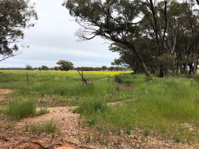 2000 Nine Mile South-Wedderburn Road, Wedderburn