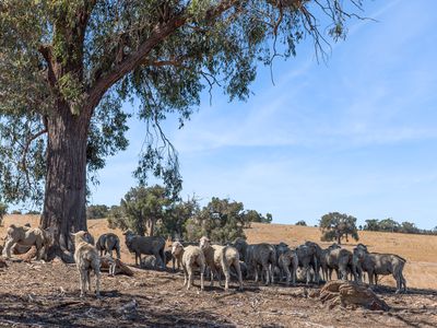 565 Dairy Flat Road, Heathcote