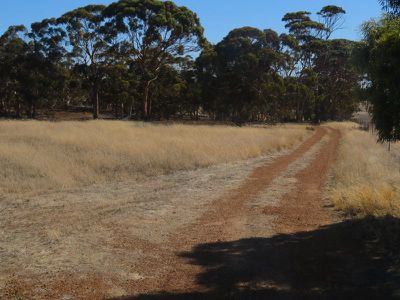 24804 / Mawson Doodenanning Road Balkuling, Quairading