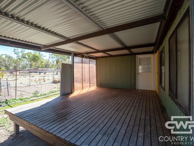 1043 Wallangra Road, Wallangra