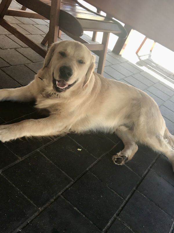 Murphy Webber