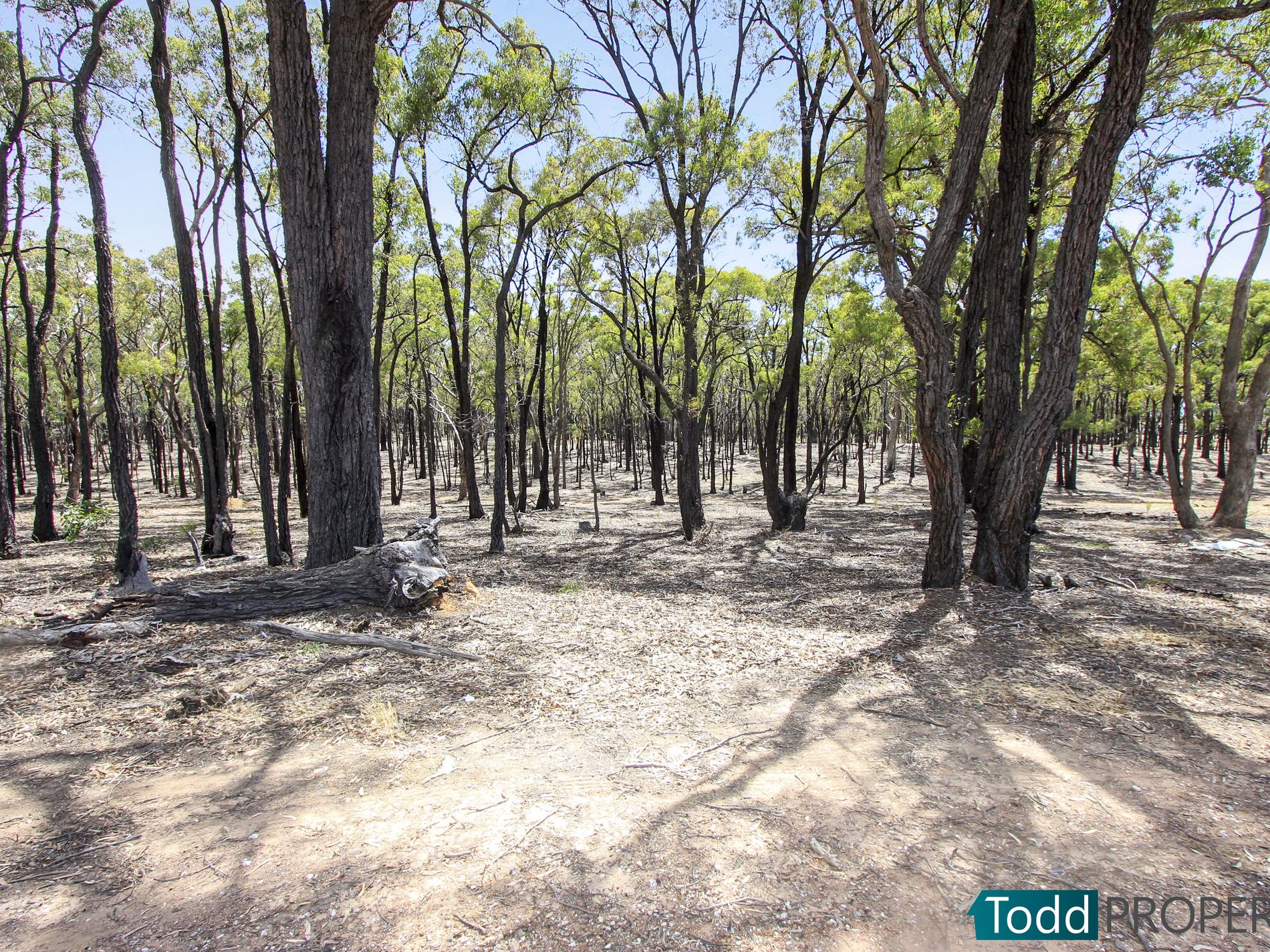 117 Lewis Road, Heathcote