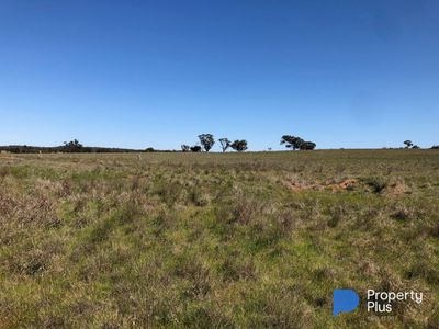 Lot 1, 4000 Korong Vale-Wychitella Road, Woolshed Flat