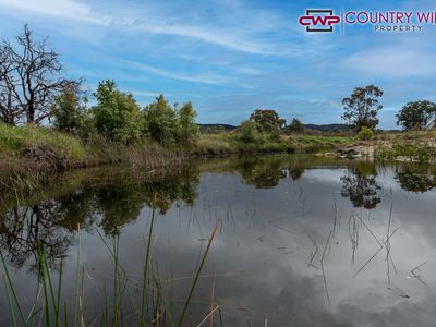 Lot 351, Torrington Road, Stannum