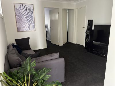 99 / 5 Spring Avenue, Springfield Lakes