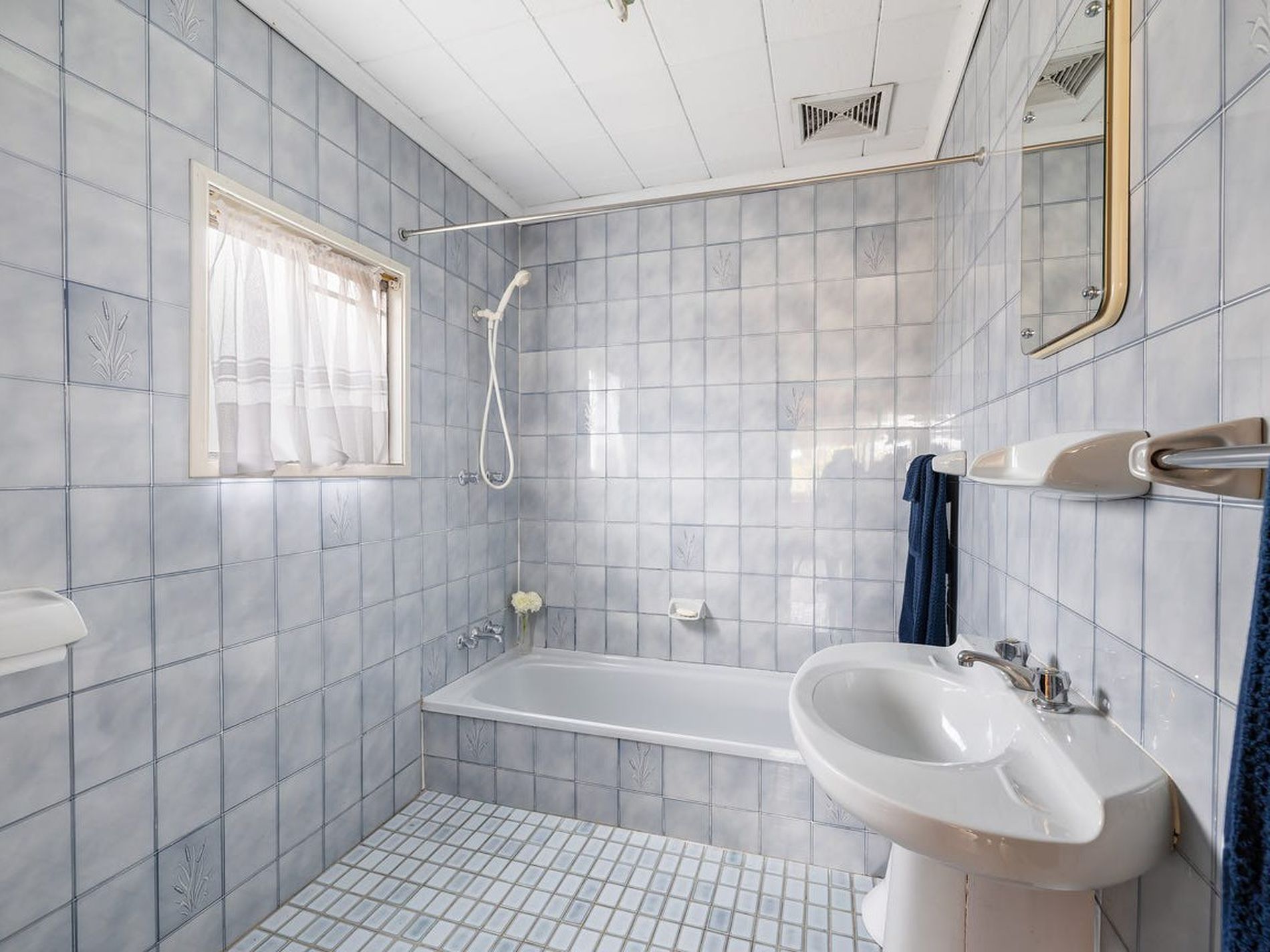 52 Carrington Street, Lilyfield