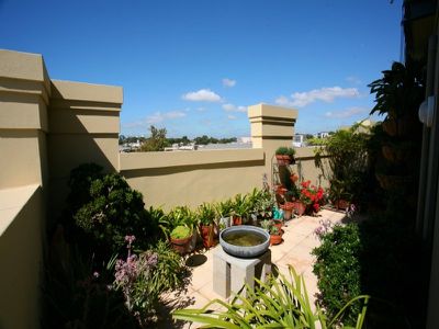 405 / 82 Abercrombie Street, Chippendale