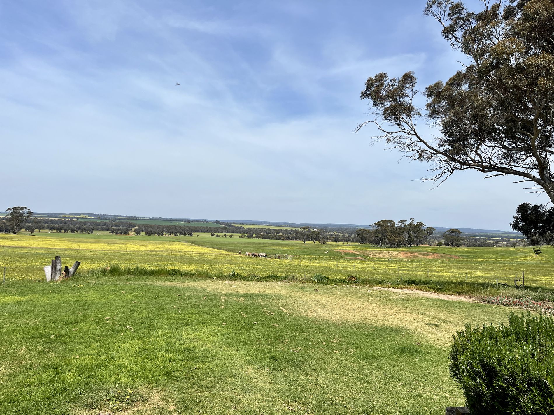 547 Bunmulling Road, Popanyinning