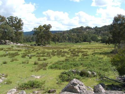 Red Hill Road, Stannum
