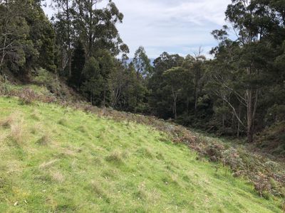 Lot 4, Lightwood Creek Road, Glen Huon