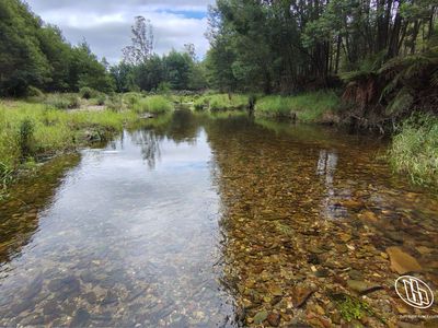 115 Gulph Creek Road, Nerrigundah