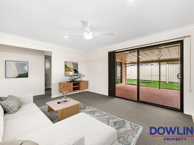 20 Gwalia Close, Medowie