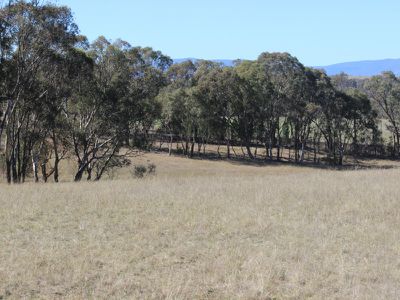 126 Howards Lane, Mount Rankin