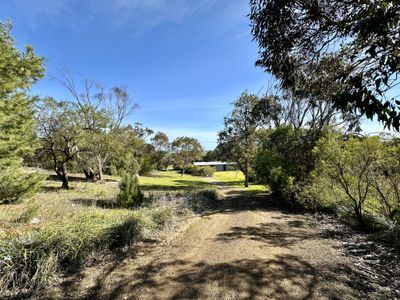 1705 CANUNDA FRONTAGE ROAD, Tantanoola