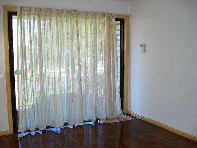 Mount Warrigal